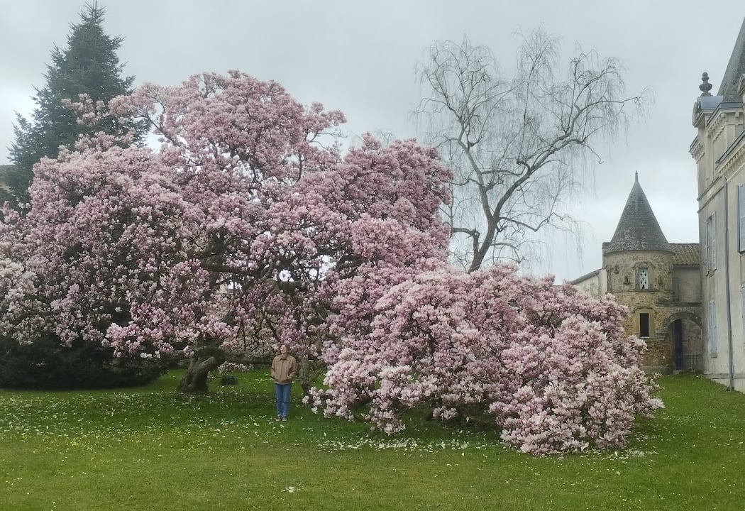 Abiès Garden 2